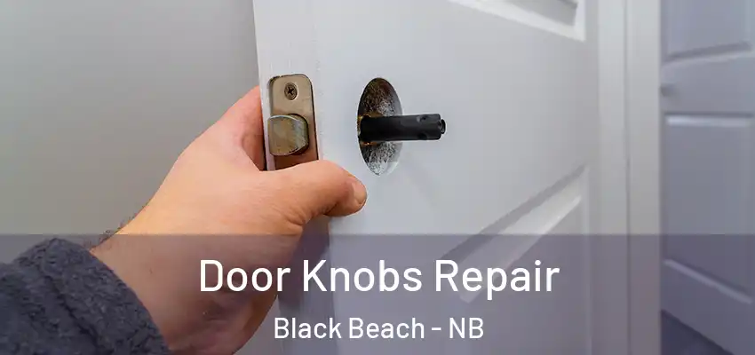  Door Knobs Repair Black Beach - NB