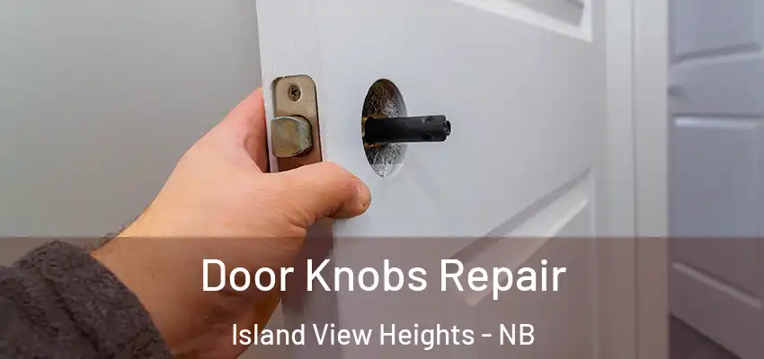  Door Knobs Repair Island View Heights - NB