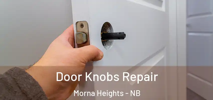  Door Knobs Repair Morna Heights - NB