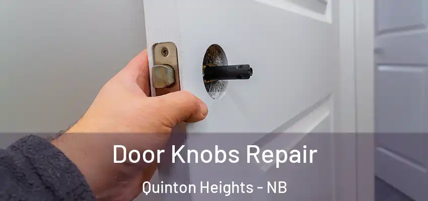  Door Knobs Repair Quinton Heights - NB