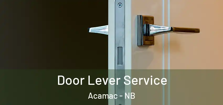  Door Lever Service Acamac - NB