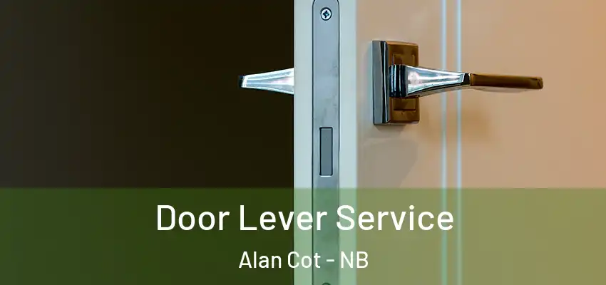  Door Lever Service Alan Cot - NB