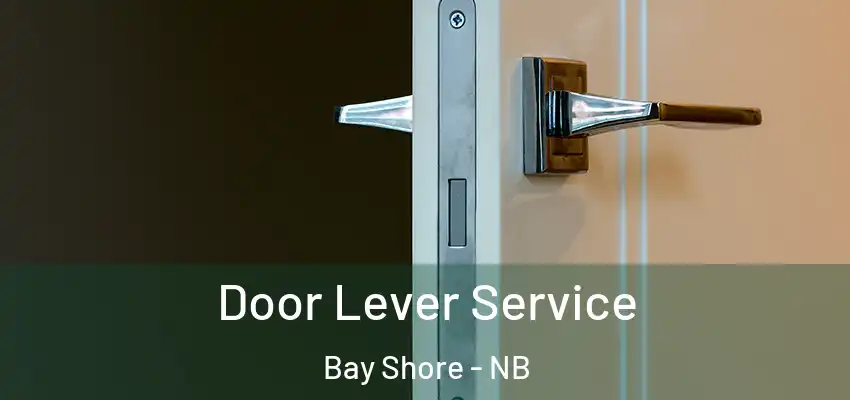  Door Lever Service Bay Shore - NB
