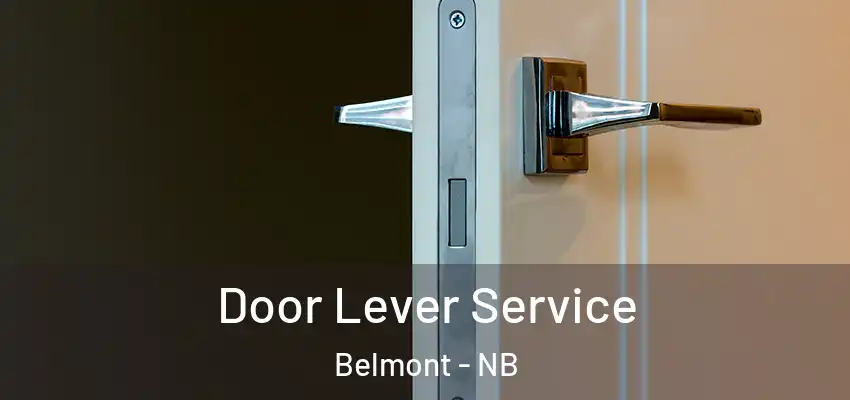  Door Lever Service Belmont - NB