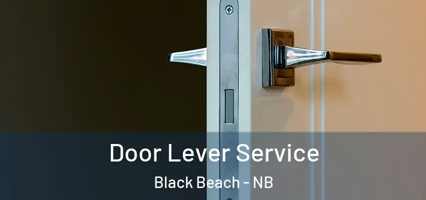  Door Lever Service Black Beach - NB