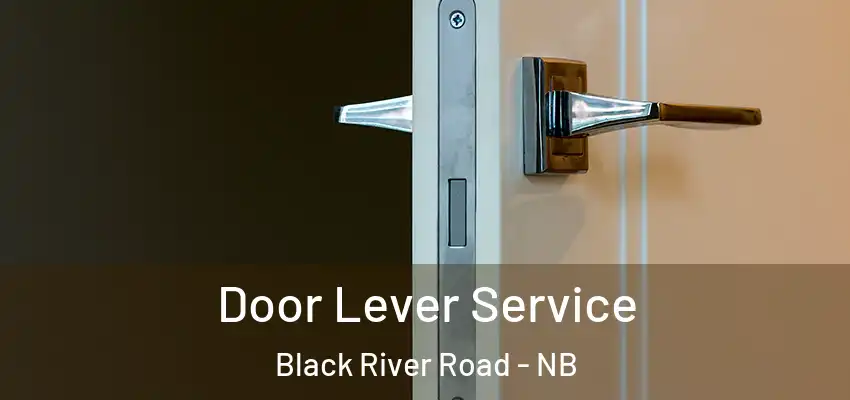  Door Lever Service Black River Road - NB
