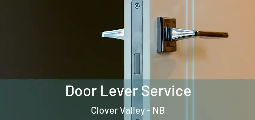  Door Lever Service Clover Valley - NB