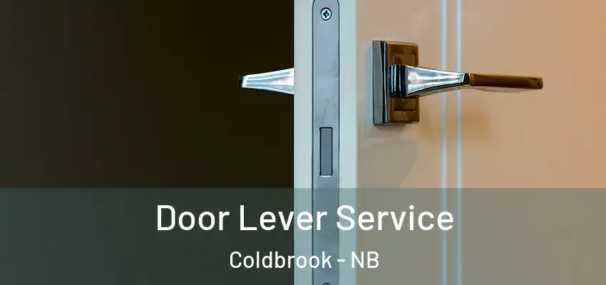  Door Lever Service Coldbrook - NB