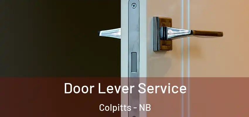  Door Lever Service Colpitts - NB