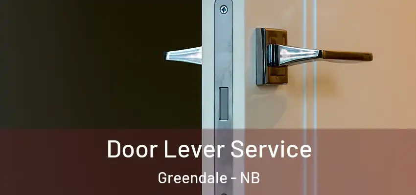  Door Lever Service Greendale - NB