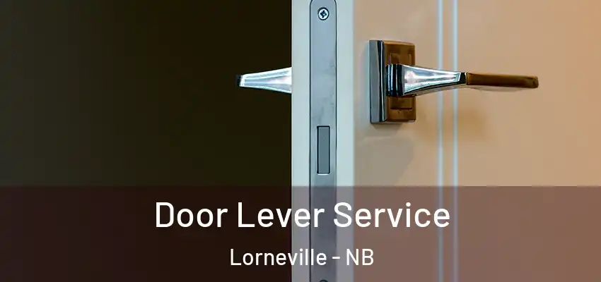  Door Lever Service Lorneville - NB