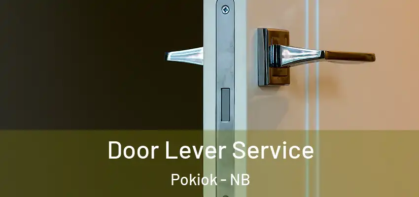  Door Lever Service Pokiok - NB