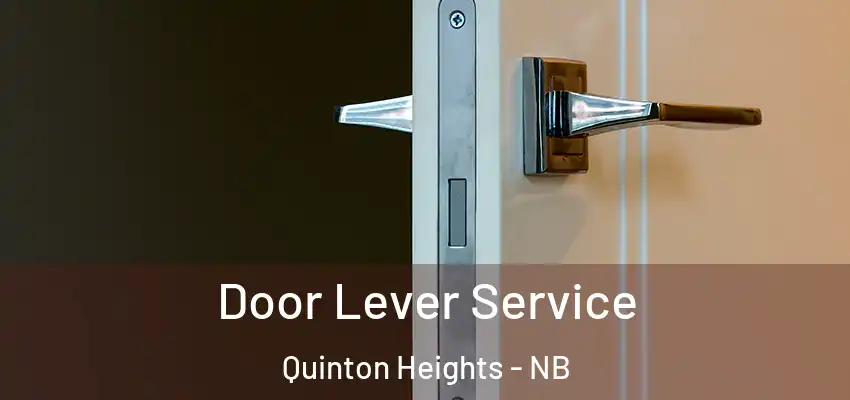  Door Lever Service Quinton Heights - NB