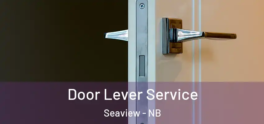  Door Lever Service Seaview - NB