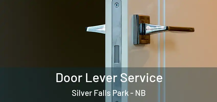  Door Lever Service Silver Falls Park - NB