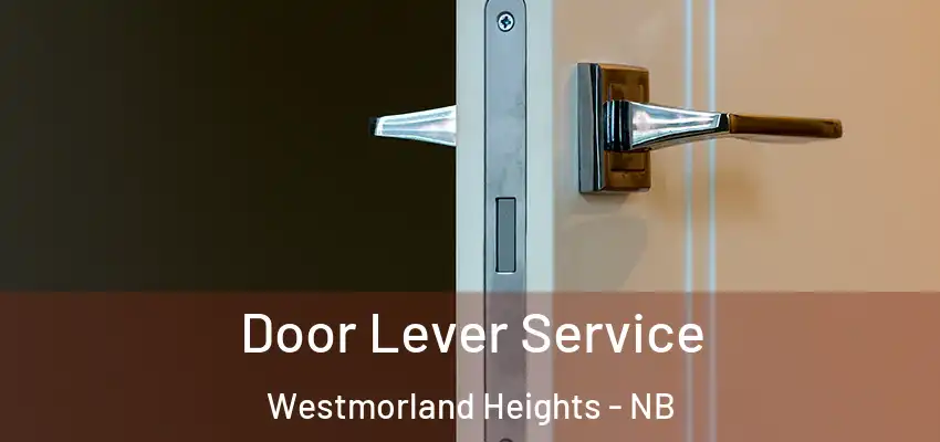  Door Lever Service Westmorland Heights - NB