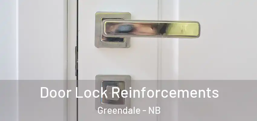  Door Lock Reinforcements Greendale - NB