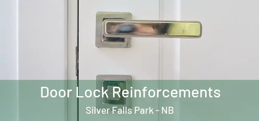  Door Lock Reinforcements Silver Falls Park - NB
