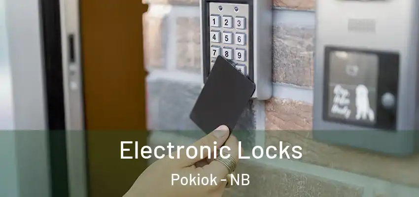  Electronic Locks Pokiok - NB