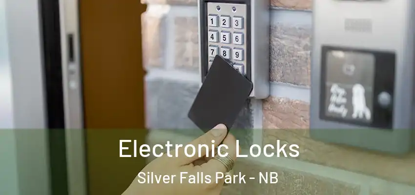  Electronic Locks Silver Falls Park - NB