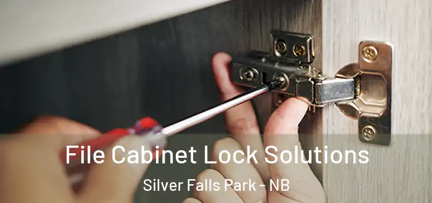  File Cabinet Lock Solutions Silver Falls Park - NB
