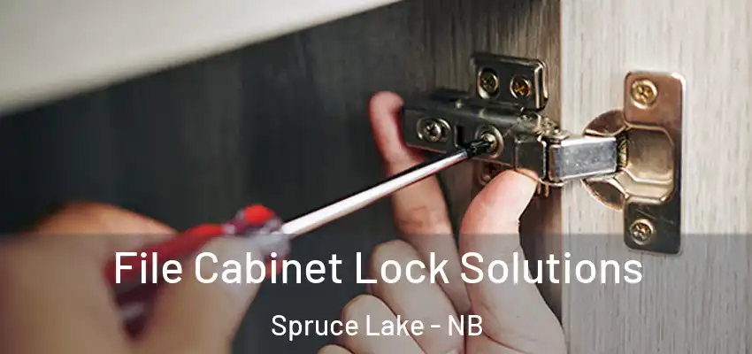  File Cabinet Lock Solutions Spruce Lake - NB