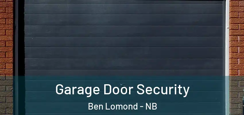 Garage Door Security Ben Lomond - NB