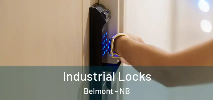  Industrial Locks Belmont - NB
