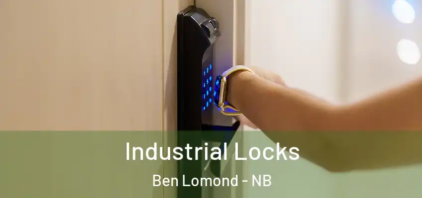  Industrial Locks Ben Lomond - NB