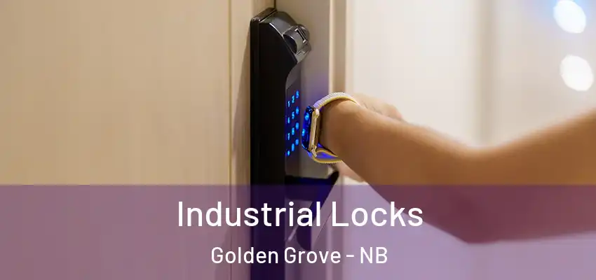  Industrial Locks Golden Grove - NB