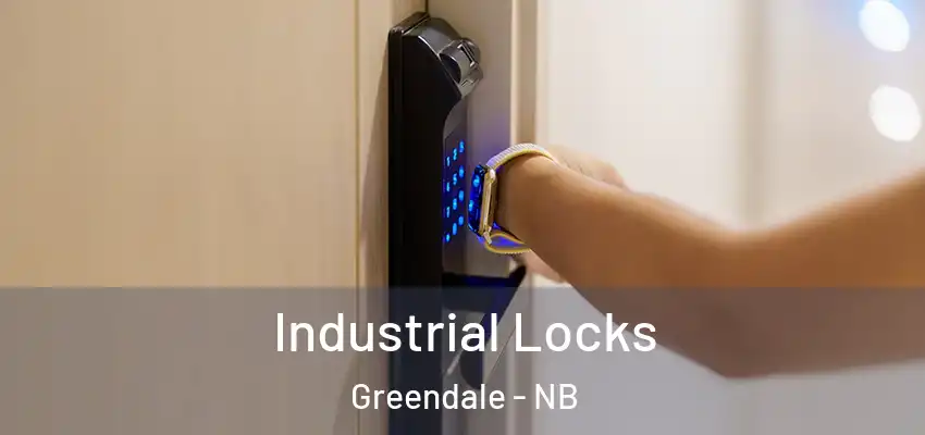  Industrial Locks Greendale - NB