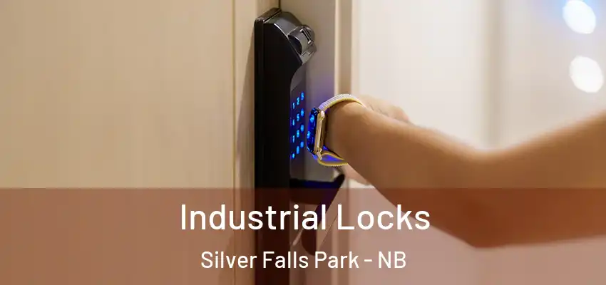  Industrial Locks Silver Falls Park - NB