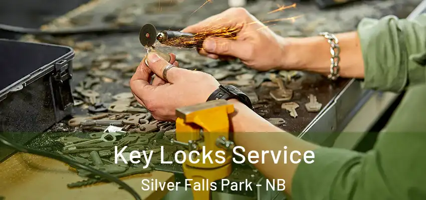  Key Locks Service Silver Falls Park - NB