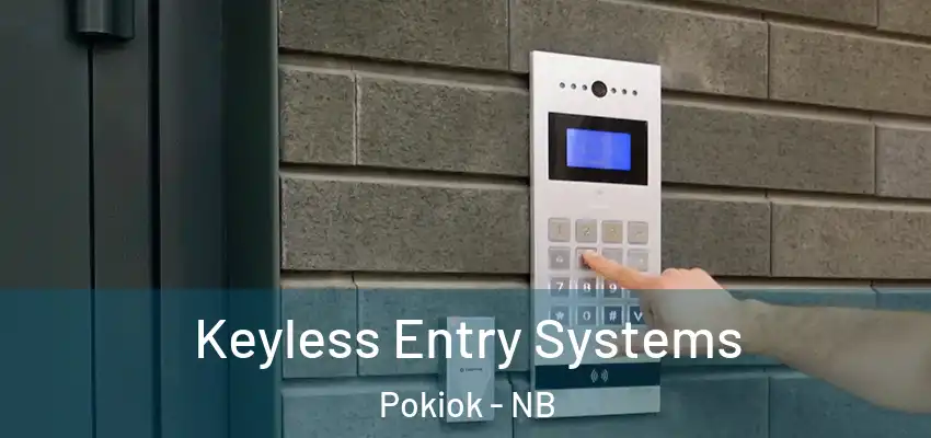 Keyless Entry Systems Pokiok - NB