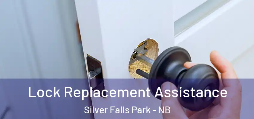  Lock Replacement Assistance Silver Falls Park - NB