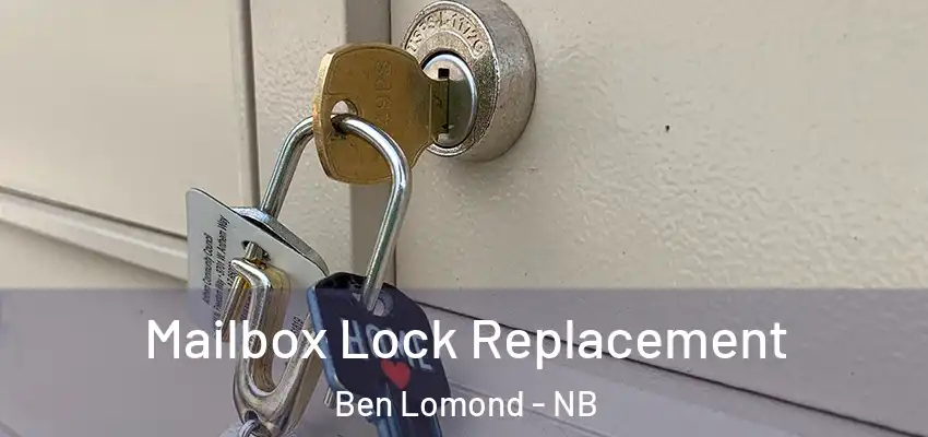  Mailbox Lock Replacement Ben Lomond - NB
