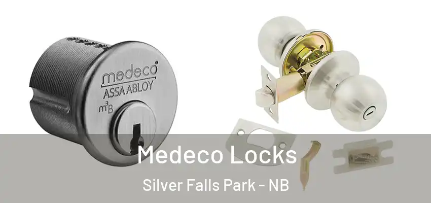  Medeco Locks Silver Falls Park - NB