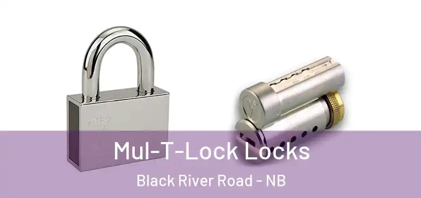  Mul-T-Lock Locks Black River Road - NB