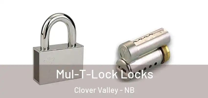  Mul-T-Lock Locks Clover Valley - NB