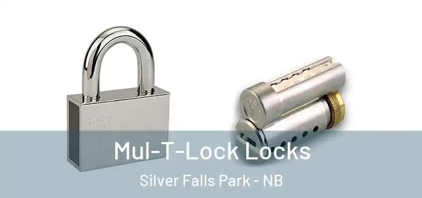  Mul-T-Lock Locks Silver Falls Park - NB