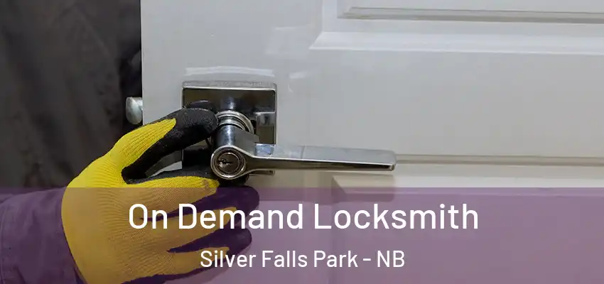  On Demand Locksmith Silver Falls Park - NB