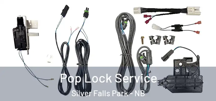  Pop Lock Service Silver Falls Park - NB