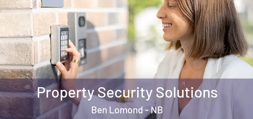  Property Security Solutions Ben Lomond - NB