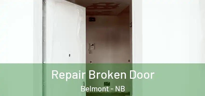  Repair Broken Door Belmont - NB