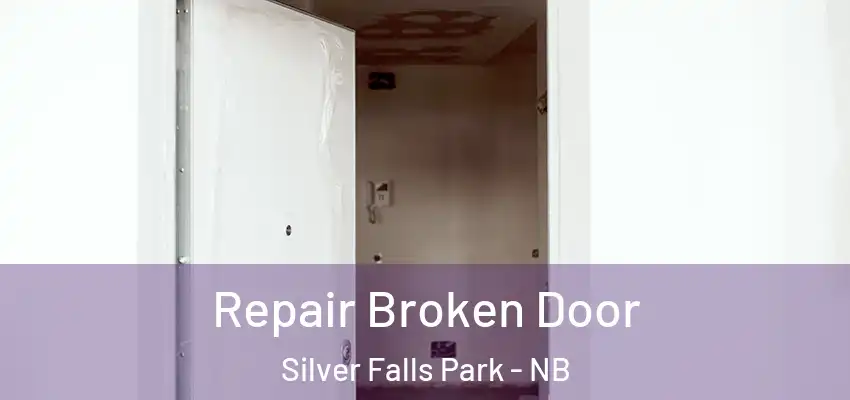  Repair Broken Door Silver Falls Park - NB