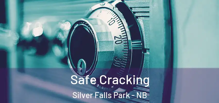  Safe Cracking Silver Falls Park - NB