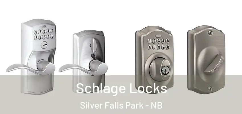  Schlage Locks Silver Falls Park - NB