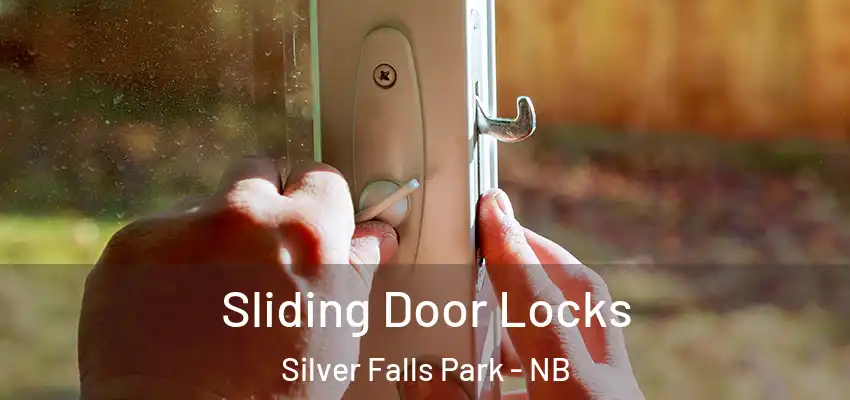  Sliding Door Locks Silver Falls Park - NB