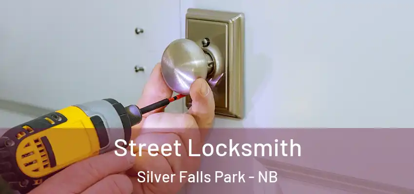  Street Locksmith Silver Falls Park - NB