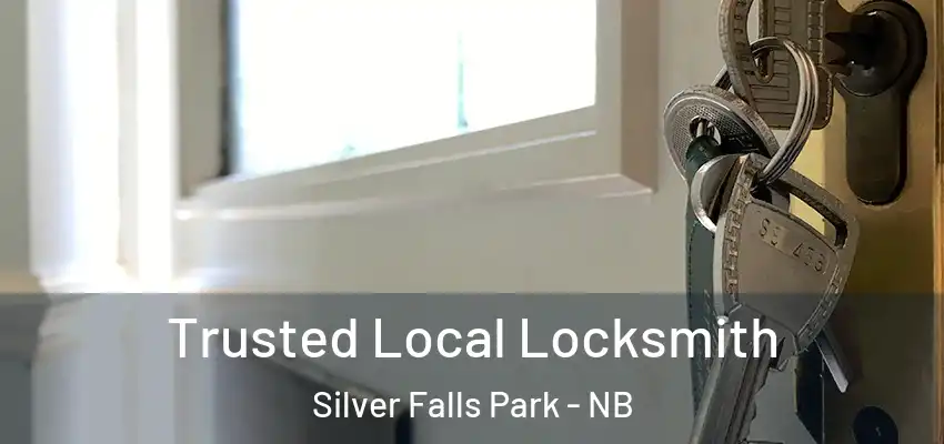  Trusted Local Locksmith Silver Falls Park - NB